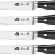 Ballarini - Brenta 4 PC German Stainless Steel Steak Knife Set - 18540-004
