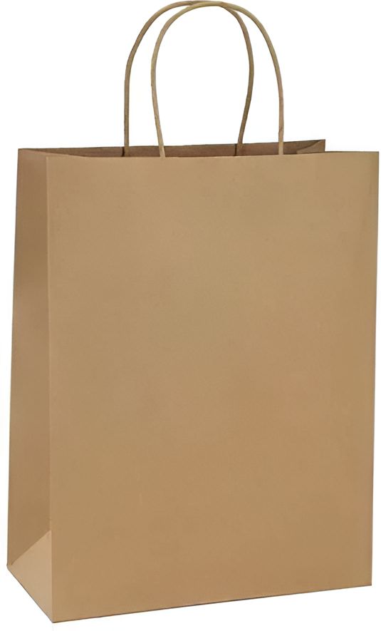 RiteEarth - 18" x 7" x 18.75" Kraft Paper Twist Handle Bag, 200/Cs - PT18718K
