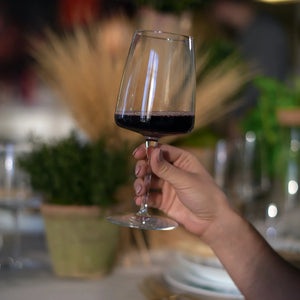 Bormioli Rocco - 18.25oz Planeo Red Wine Glasses Set of 4 - 450365748