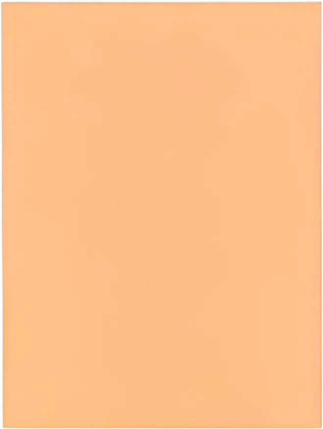 10" X 30" Peach Steak Paper, 1000/Cs - 100642