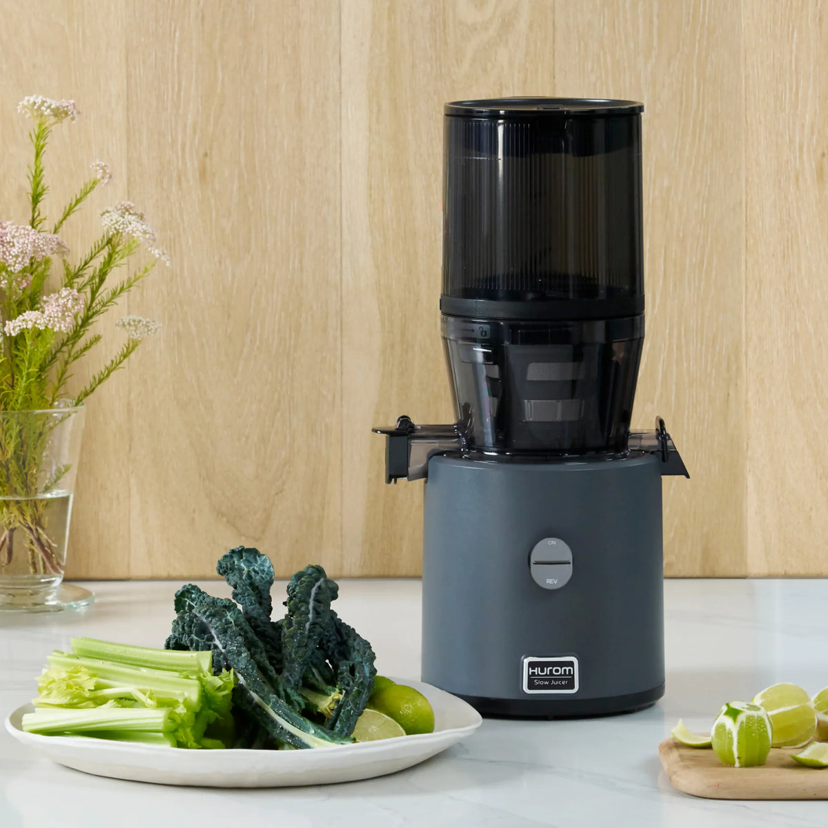 Hurom - H330 Charcoal Slow Juicer - H330P-BBS01CL