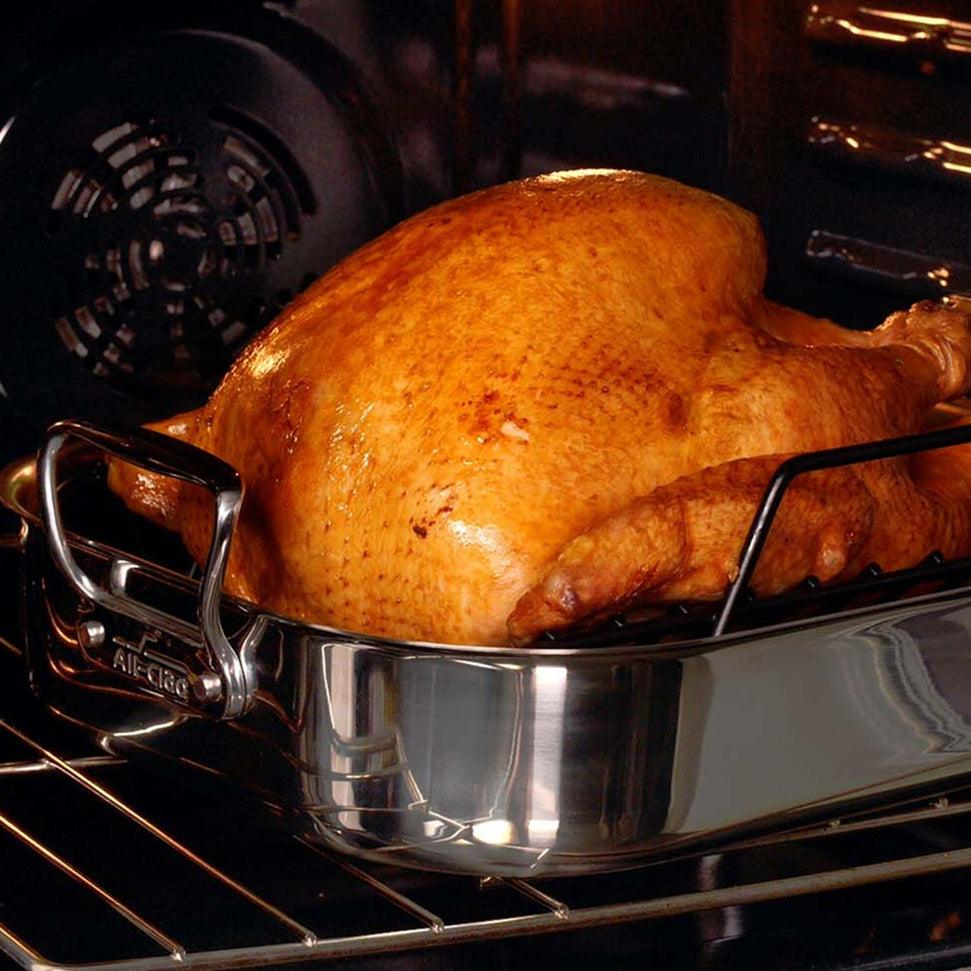 All-Clad - 16" x 13" Large Roaster with Rack - E752C264