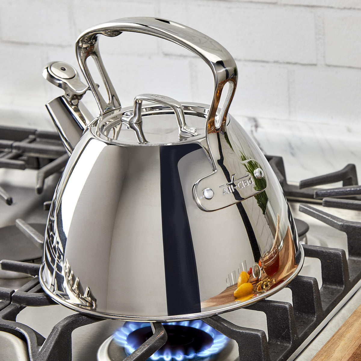 All-Clad - 2 QT Stainless Steel Tea Kettle - E8619964