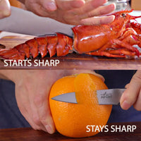 All-Clad - Forged Knives 12 Pcs Knife Block Set - K272SC64