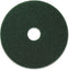 Americo - 14