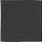 Amscan - 2ply Black Luncheon Napkins, 600/Cs - 61215.10
