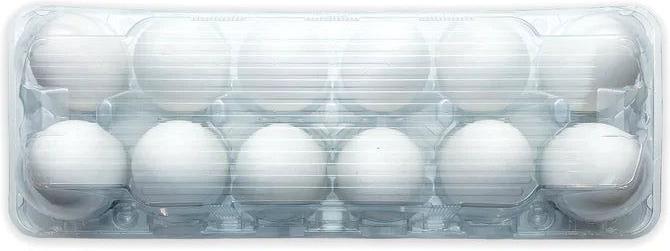 Atlantic Packaging - 12 Egg Carton Plain Box With Handle Design, 25/Bn - 435260