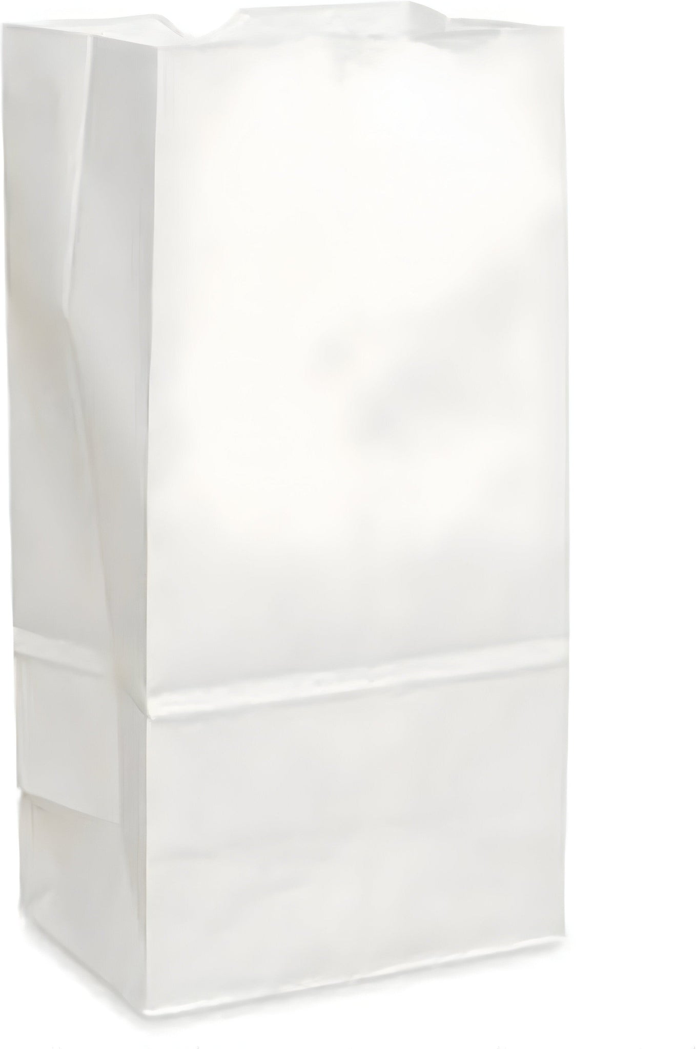 Atlas Paper Bag - 20 lb White Paper Bags, 500/Bn - 4200007