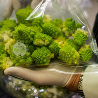 Atmovac - 12" x 16" SCCB80 Series Smooth Vacuum Bags Pack of 100 - ATVSB90-1216