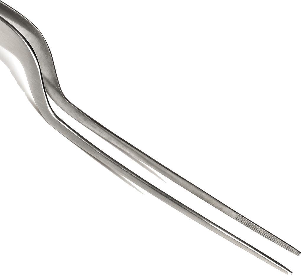 Browne - 8" Stainless Steel Offset Precision Tongs - 57517