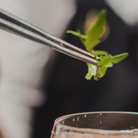 Browne - 8" Stainless Steel Offset Precision Tongs - 57517