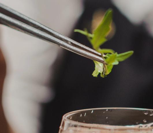 Browne - 8" Stainless Steel Straight Precision Tongs - 57516