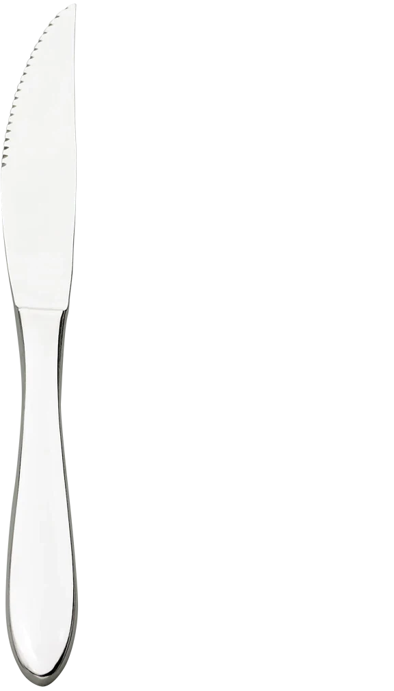 Browne - ECLIPSE 9.3" Serrated Steak Knife - 502112