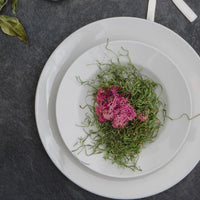 Browne - PALM 6.25" White Wide Rim Porcelain Side Plate, Pack of 36 - 563991
