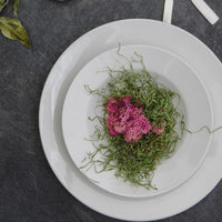 Browne - PALM 9" White Rim Soup Plate, Pack of 12 - 563957