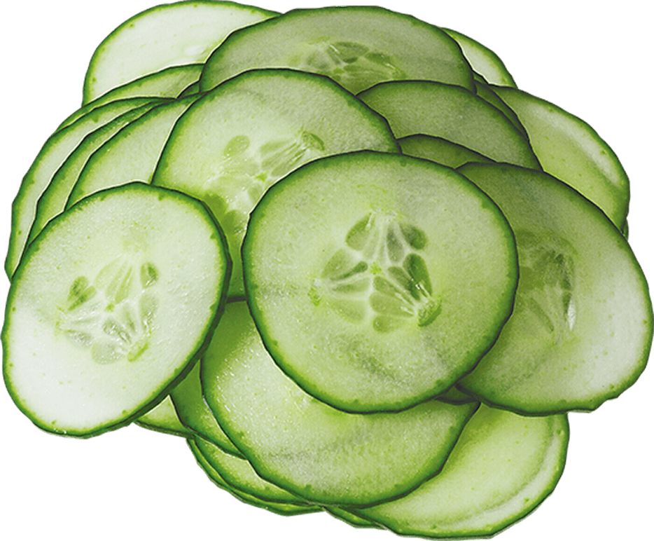 Brunner-Anliker - 1/32" (1mm) Fine Cut Slicing F1-7 Disc - 232.02601 (ETA 2-4 Weeks)