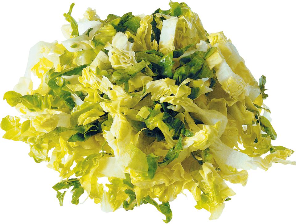 Brunner-Anliker - 5/16" (8mm) Coarse Cut Slicing G8-5 Disc - 232.01806 (ETA 2-4 Weeks)