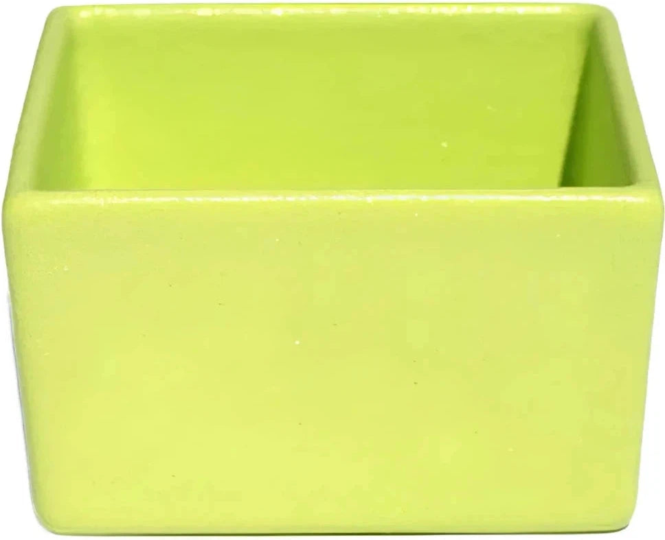 Bugambilia - Classic 25.36 Oz Lime Square Straight Sided Salad Bowl With Elegantly Textured - COMP01LM