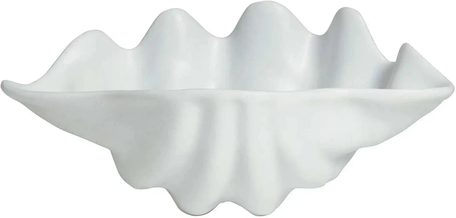 Bugambilia - Mod 10.1 Oz Small White Shell Ceviche Shell Plate With Glossy Smooth Finish - SC002-MOD-WW