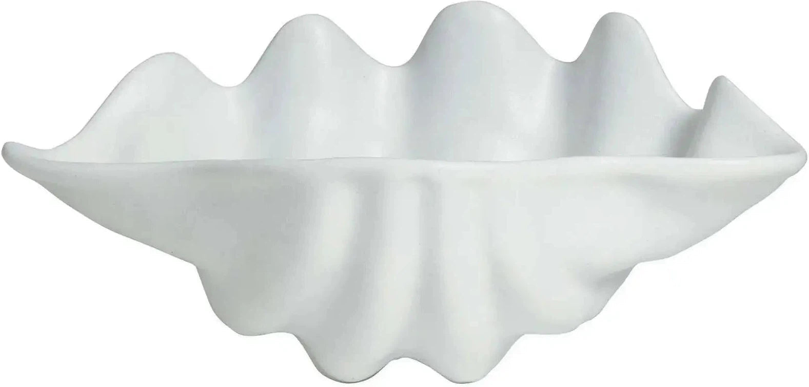 Bugambilia - Mod 13.5 Oz Medium White Shell Ceviche Shell Plate With Glossy Smooth Finish - SC003-MOD-WW
