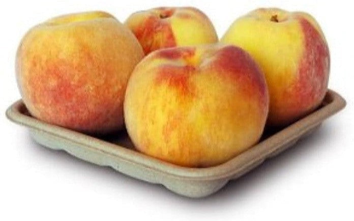 CKF Inc. - Earth Cycle 6" x 6" x 2" Pulp Packaging Tray Pulp Tray, 500/Cs - 44777