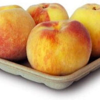 CKF Inc. - Earth Cycle 6" x 6" x 2" Pulp Packaging Tray Pulp Tray, 500/Cs - 44777