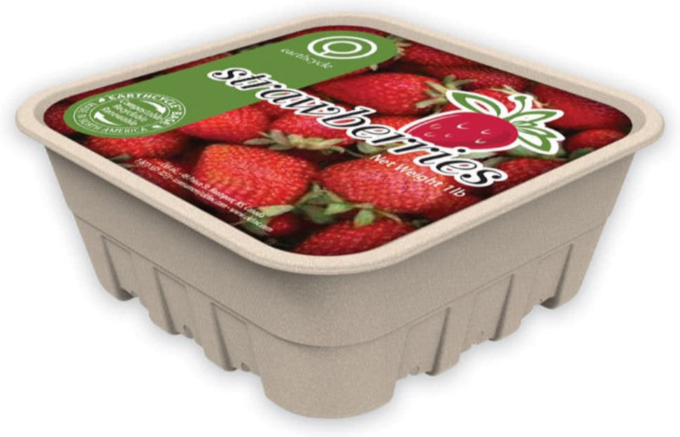 CKF Inc. - Earth Cycle RPET Clear Lid fits 9" Take Out Container EC803 , 500/Cs - 86744