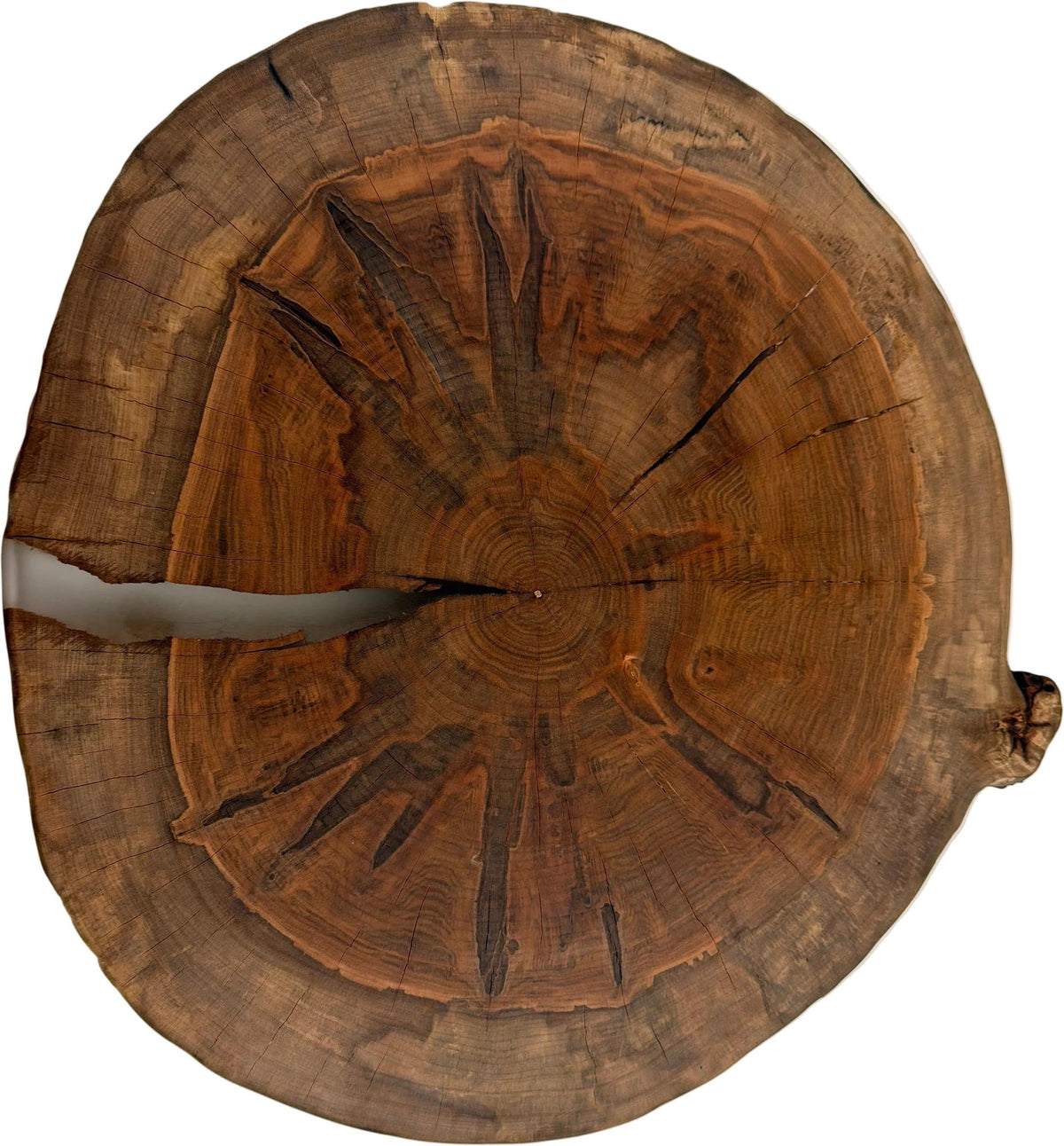 CSW - Circular Charcuterie Board, Medium - CIRC-MED