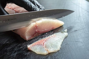 Chroma Knives - 9.75" Sashimi Knife - P38