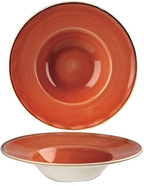 Churchill - 9.5" Super Vitrified Stonecast Spiced Orange Wide Rim Bowl, Pack of 12 - SSOSVWBM1
