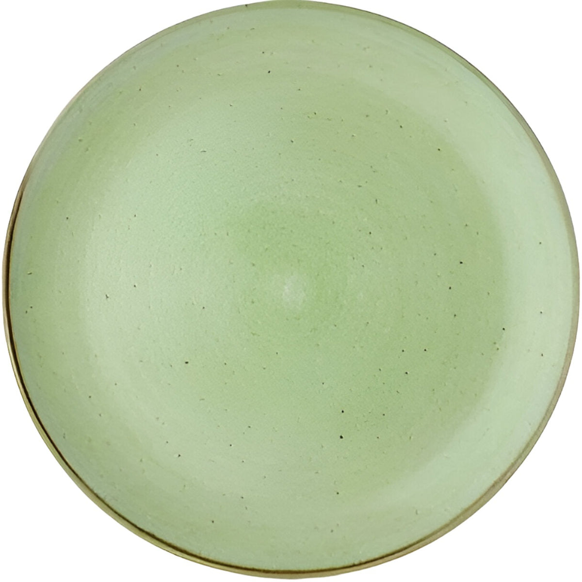 Churchill - Stonecast 10.25" Super Vitrified Sage Green Intermediate Coupe Plate, Pack of 12 - SSASEV101