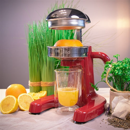 Cilio - Positano 8" x 9" Red Citrus Press - C309805