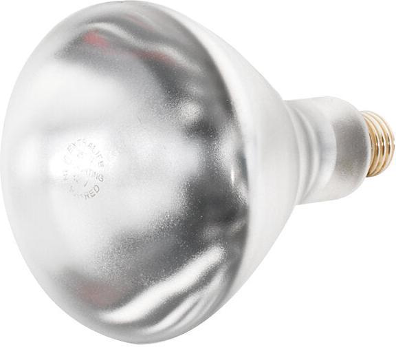Cres Cor - 120V, 375 Watt Shatterproof White Infrared Light Bulb - 0820 021 SP (Pre-Order Now, ETA 4-6 Weeks)