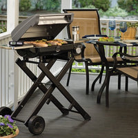 Cuisinart - Stainless Steel All Foods Roll Away Gas Grill - CGG-240-C