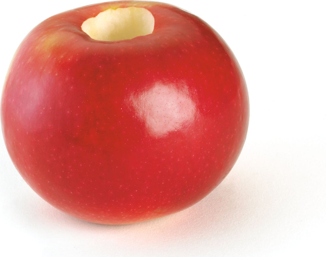 Cuisipro - 7" Red Stainless Steel Apple Corer - 747150