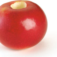 Cuisipro - 7" Red Stainless Steel Apple Corer - 747150