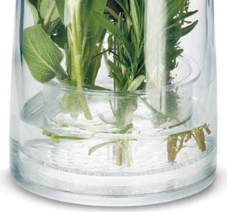Cuisipro - Green Herb Keeper - 747134