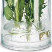 Cuisipro - Green Herb Keeper - 747134