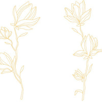 Cuisivin - 13 Oz Designed Glassware Golden Floral Stemless Glass, 6pk BB - 8311GF