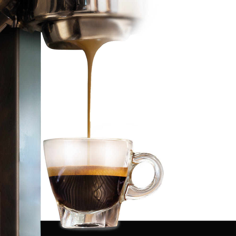 Cuisivin - 2.5 oz Cuisivin Caffe Espresso, Pack of 2 Cups & 2 Saucers - 8700