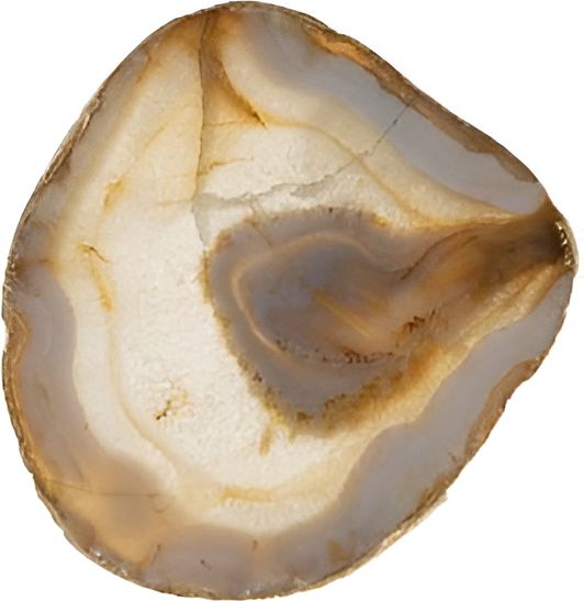 Cuisivin - Bel-Air Agate Natural Coaster, Pack of 4 - 4804