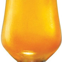 Cuisivin - Masterbrew 14 oz Pilsner Beer Glass, Pack of 6 - 8609