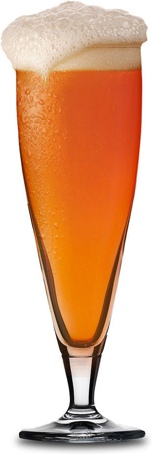 Cuisivin - Masterbrew 14.5 oz Classic Beer Glass, Pack of 6 - 8623B