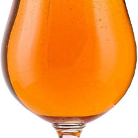 Cuisivin - Masterbrew 17.5 oz Berlin Beer, Pack of 6 - F1730