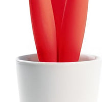 Cuisivin - Red Cereus Trivet With Porcelain Bowl - TT1R