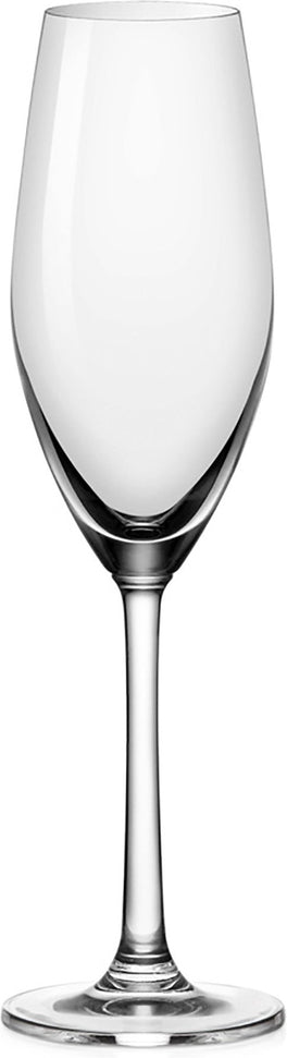 Cuisivin - Santé 7.25 oz Champagne Flute Glass, Pack of 6 - 8396B