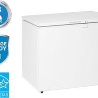 Danby - 10 cu. ft. Chest Freezer In White - DCF100A5WDB