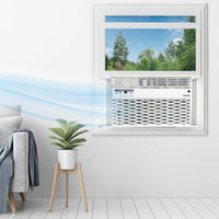 Danby - 6000 BTU Window AC In White - DAC060EB6WDB