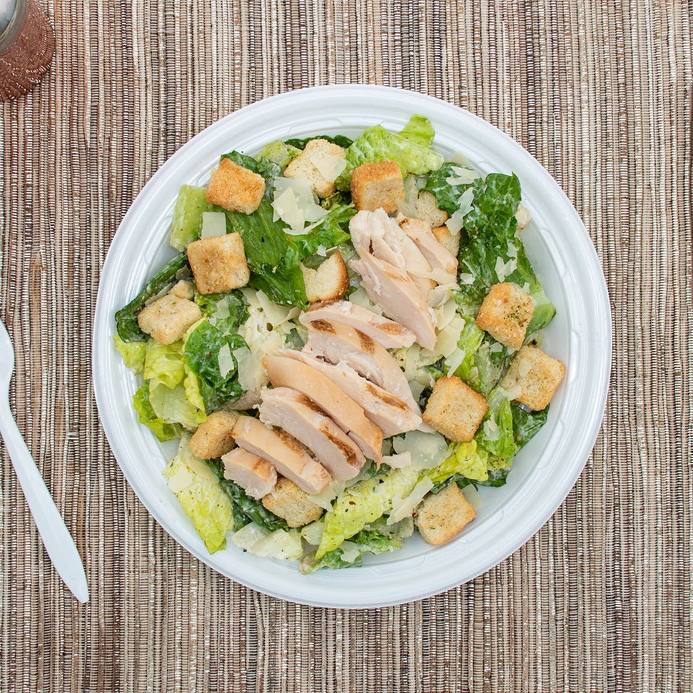 Dart - 9" White PS Plates, 500/cs - 9PWF