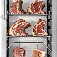 Dry Ager - 115V 220 lbs Capacity PRO Meat Curing Cabinet - UX1500P